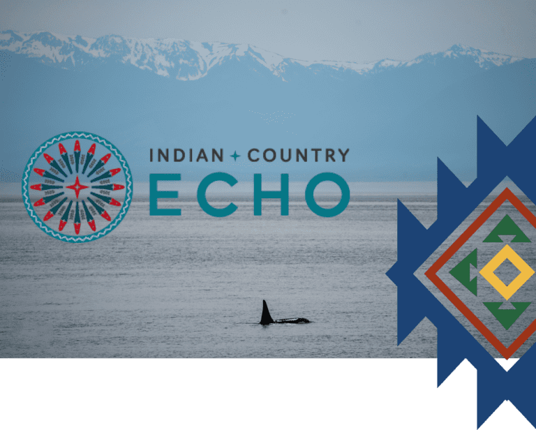 echo bold